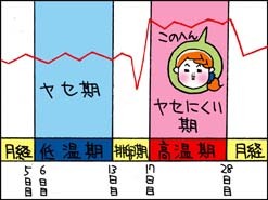 ヤセ期・ヤセにくい期