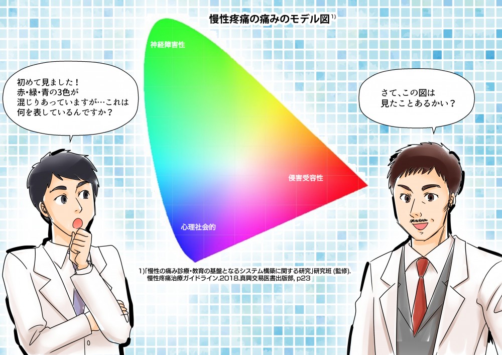 慢性疼痛の痛みモデル図。赤・緑・青の3色が混じりあっていますが、これは何を表しているんですか？