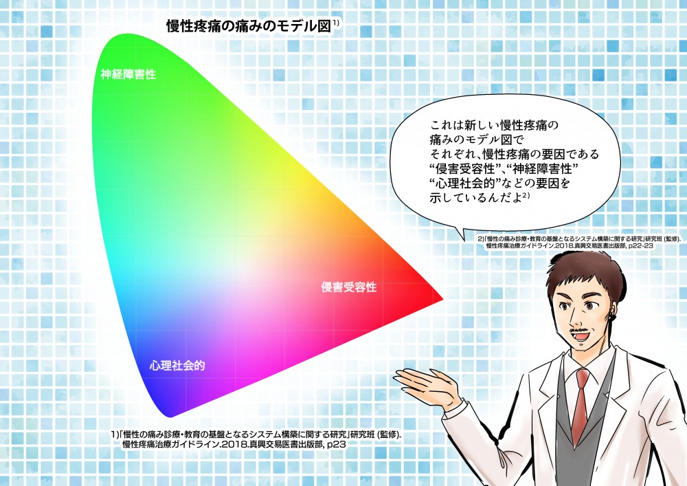 これは新しい慢性疼痛の痛みのモデル図で、それぞれ慢性疼痛の要因である「侵害受容性」「神経障害性」「心理社会的」などの要因を示しているんだよ。