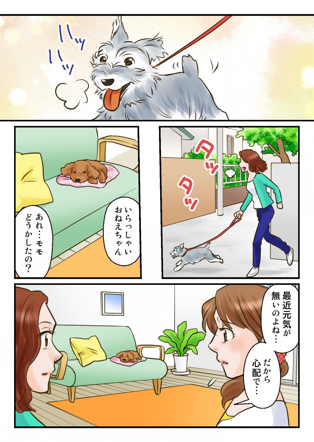お姉ちゃんがいえに遊びに来る。モモが元気がないことに気付く。