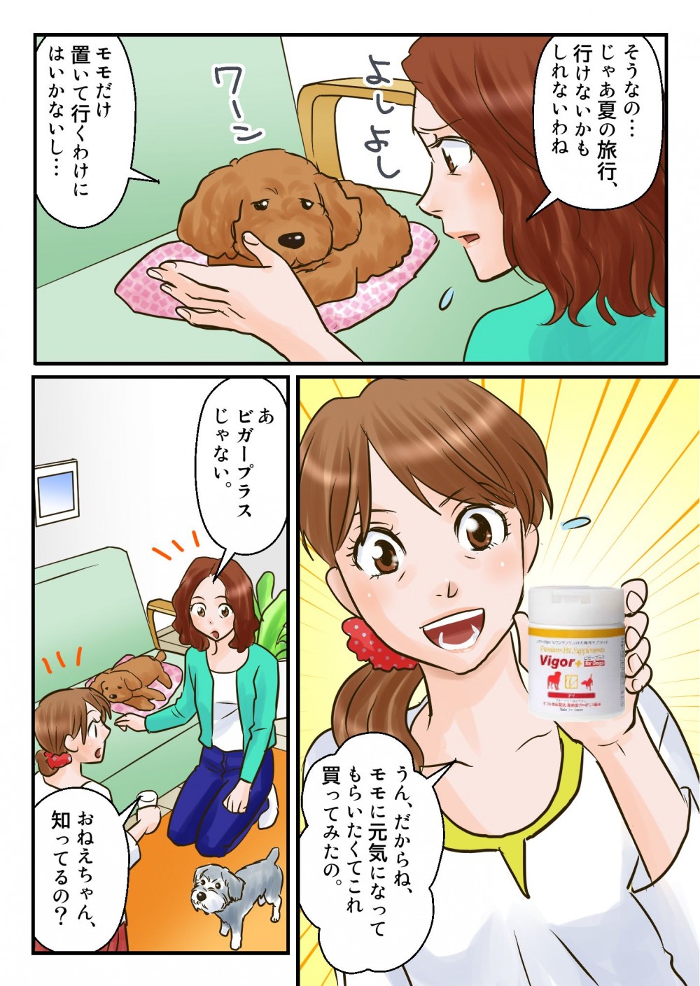 夏の旅行に連れていく予定だったが、モモだけ置いていくわけにもいかず。バイガープラスを購入してみた。