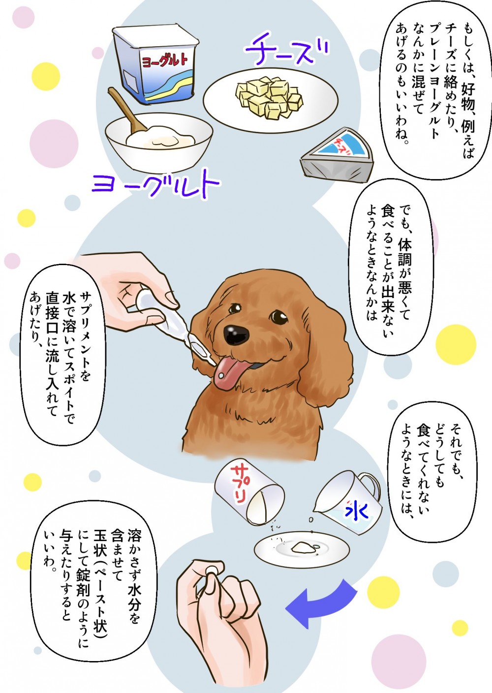 チーズに絡めたり、プレーンヨーグルトに混ぜたり、サプリメントを水で溶いてスポイトで直接口に流し入れてあげたり、水分を含ませて錠剤のように与えたりすることがいい。