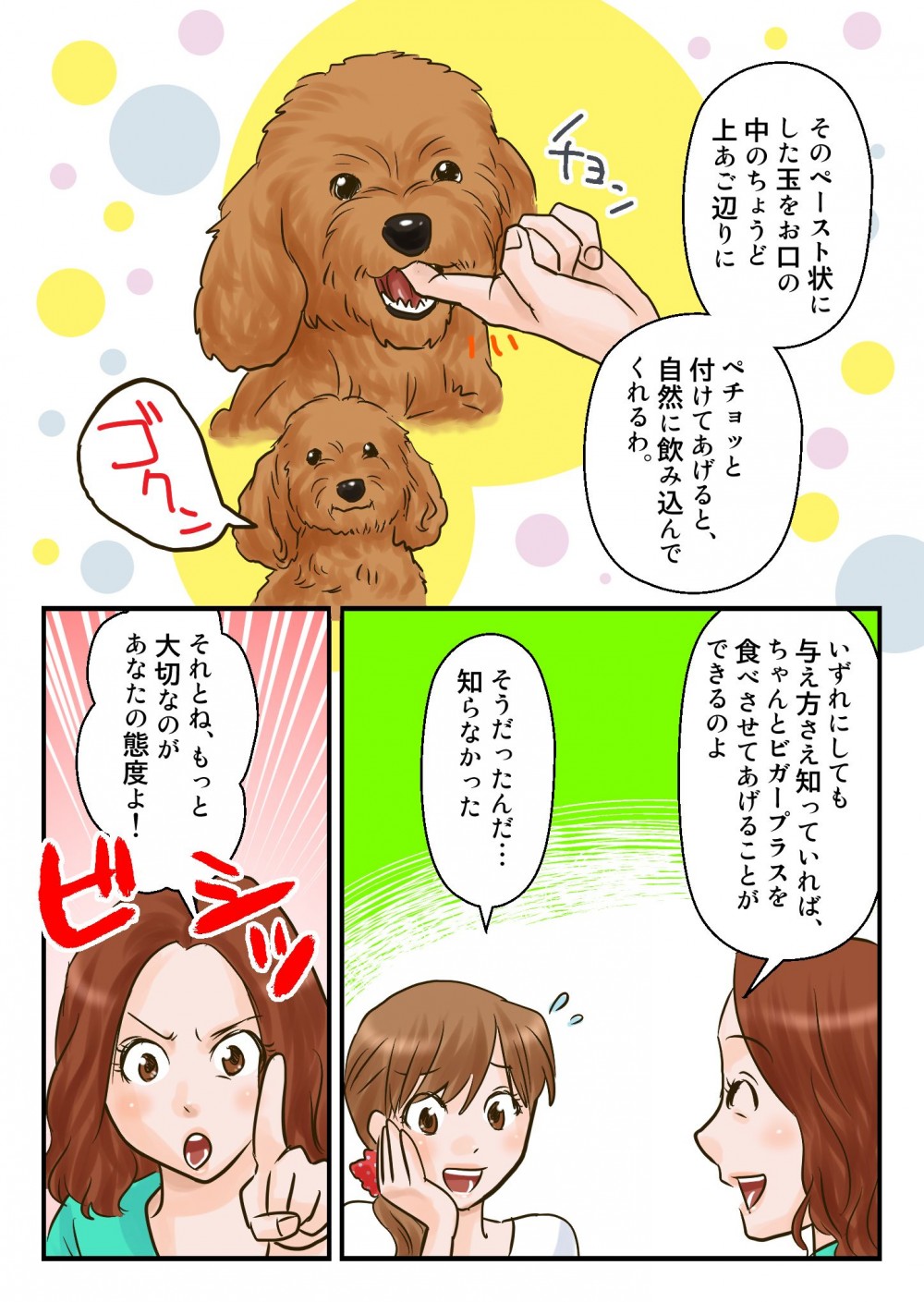 与え方さえ知っていればちゃんとビガープラスを食べさせてあげることが可能。