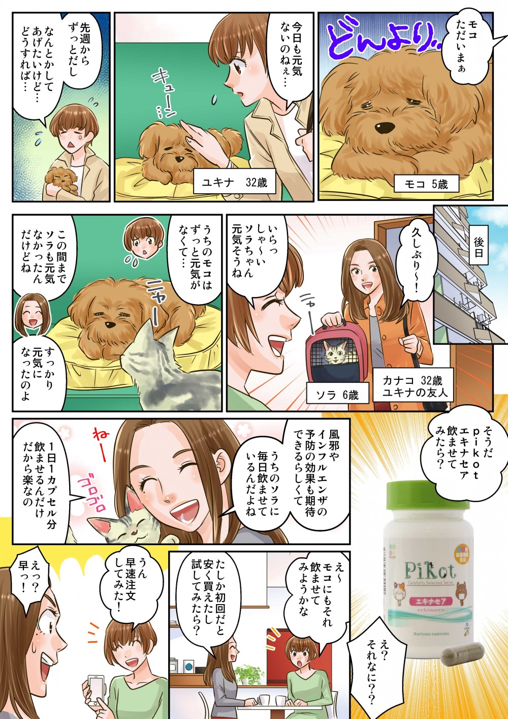 そうだPikotエキナセア飲ませてみたら？風邪やインフルエンザの予防の効果も期待できるらしくて
友人／うちのソラに毎日飲ませてるだよね
1日1カプセル分飲ませるんだけだから楽なの
主人公／え～モコにもそれ飲ませてみようかな
※友人が説明する。その横で主人公はスマホを触っている（調べ始める）。