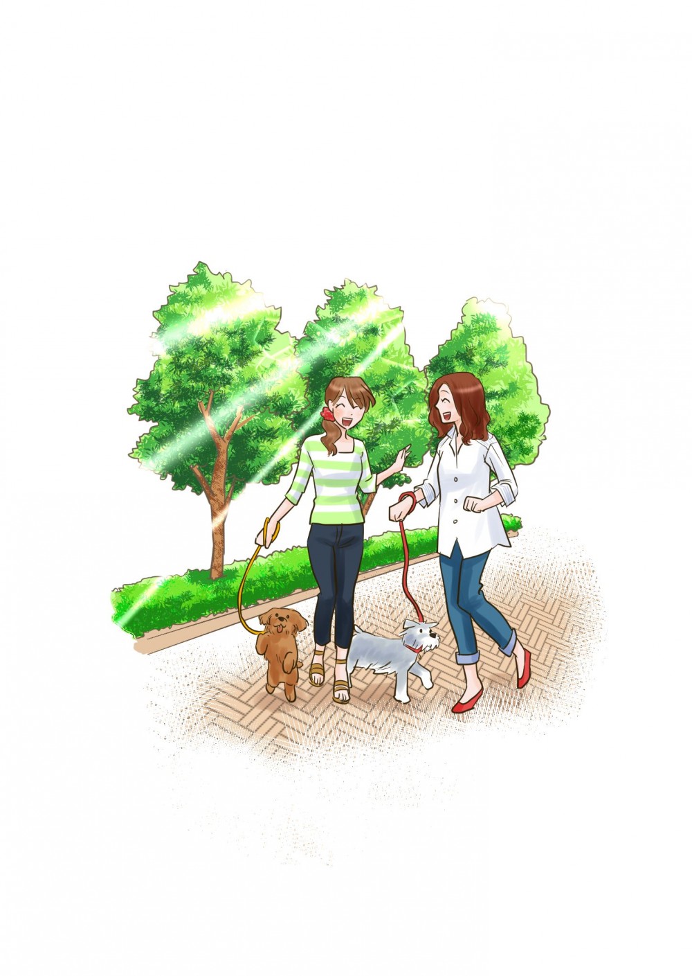 イラスト。二人で愛犬を連れて歩いている様子。
