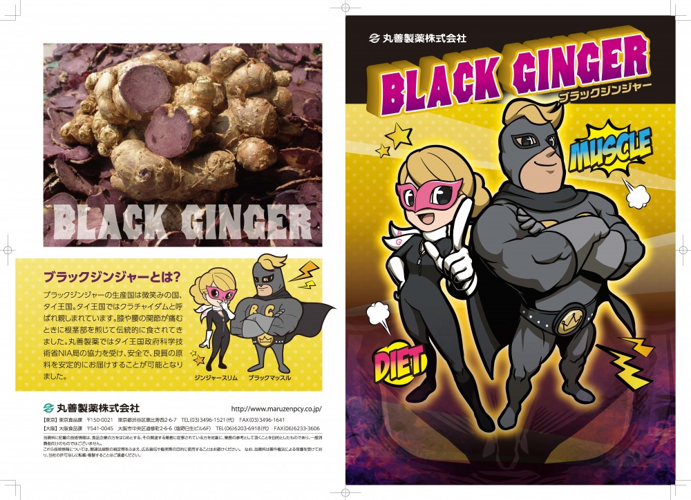 ブラックジンジャーパンフレット表紙と裏表紙