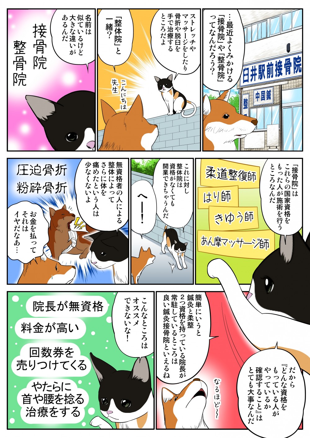最近よくみかける「接骨院」や「整骨院」ってなんだろう？ストレッチやマッサージをしたり骨折や脱臼を手で治療するところだよ。「整体院」と一緒？名前は似ているけど大きな違いがあるんだ。「接骨院」はこれらの国家資格をもった人が施術を行うところなんだ。これに対し整体院は資格がなくても開業できちゃうんだ。だから『どんな資格をもっている人がいるか、確認すること』はとても大事なんだ。簡単にいうと鍼灸と柔整2つ資格を持っている院長が常駐しているところは良い鍼灸接骨院といえるね