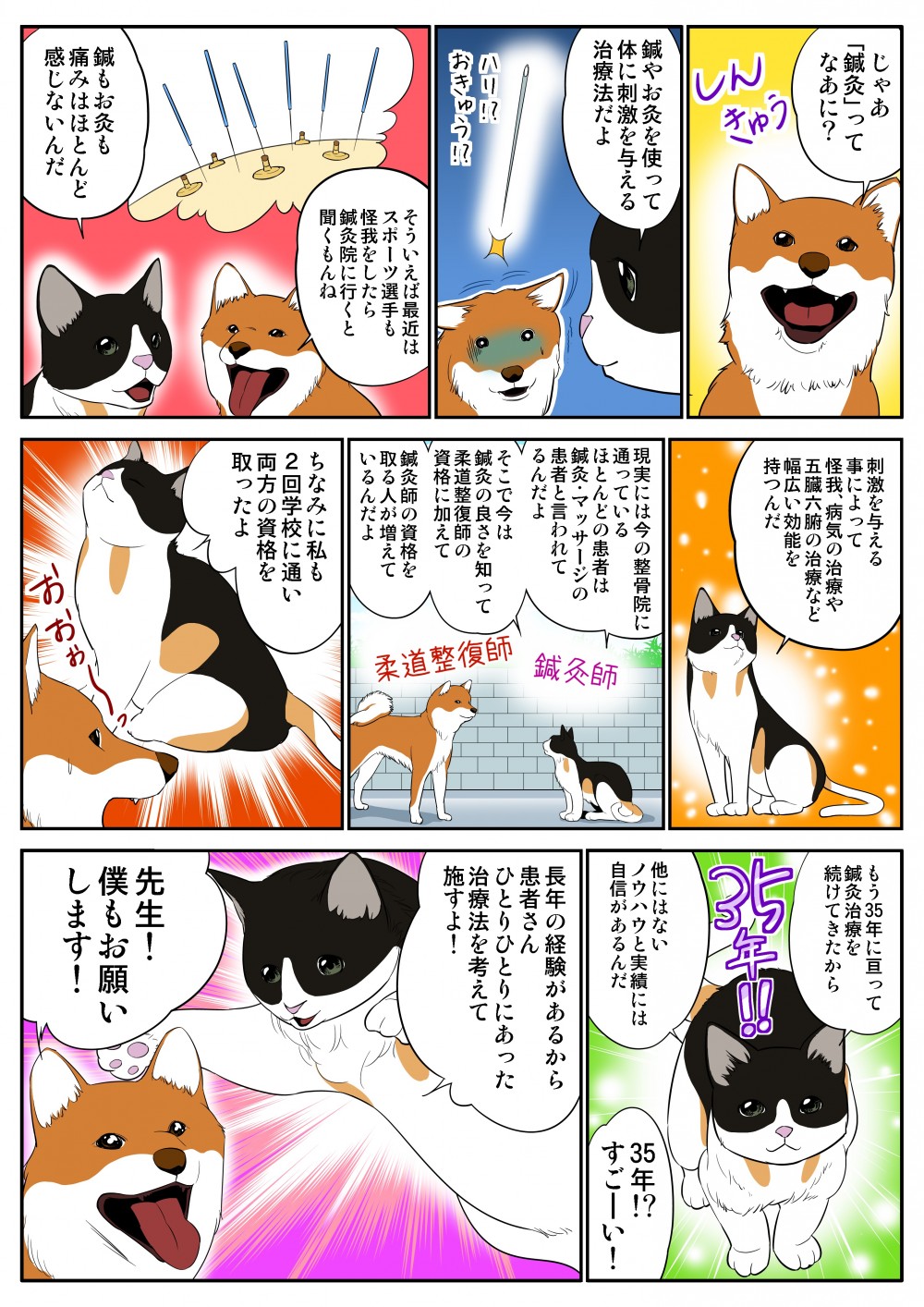 じゃあ「鍼灸」ってなあに？鍼やお灸を使って体に刺激を与える治療法だよ。刺激を与える事によって怪我、病気の治療や五臓六腑の治療など幅広い機能を持つんだ。ちなみに私も2回学校に通い、両方の資格を取ったよ。もう35年に亘って鍼灸治療を続けてきたから他にはないノウハウと実績には自信があるんだ。長年の経験があるから患者さんひとりひとりにあった治療法を考えて施すよ！
