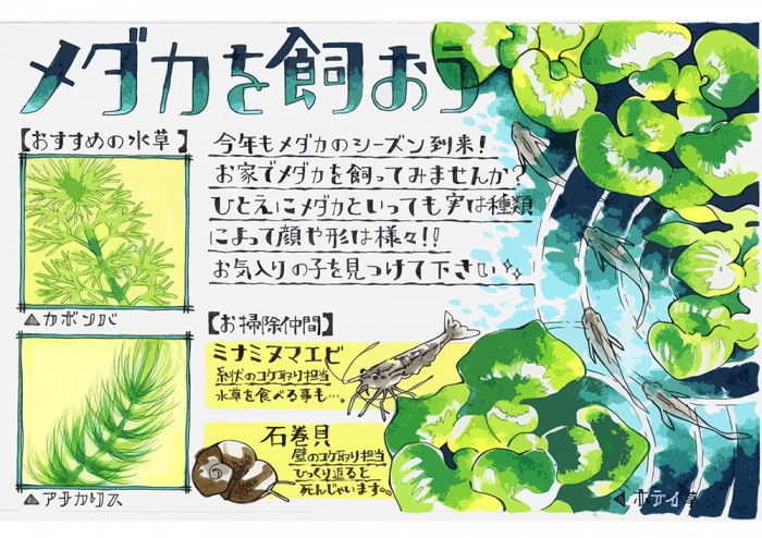 タッチ7