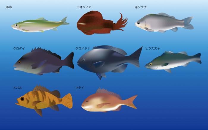 タッチ7