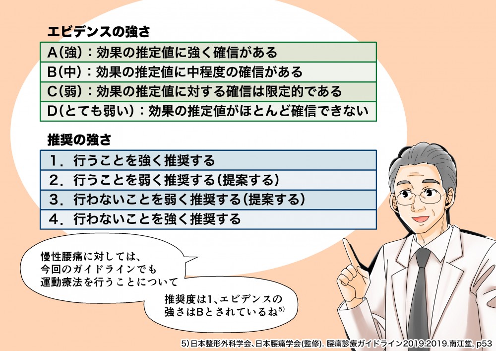 エビデンスの強さ慢性腰痛に対しては、今回のガイドラインでも運動療法を行うことについて推奨度は１、エビデンスの強さはBとされているね