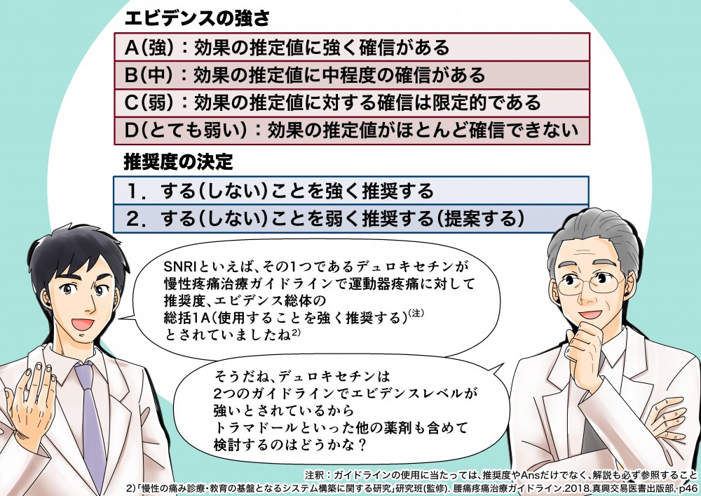 エビデンスの強さは推奨度の決定SNRIといえばその１つであるデュロキセチンが慢性疼痛治療ガイドラインで運動器疼痛に対して推奨度は、エビデンス総体ｂの総括トラマドールといったほかの薬剤も含めて検討する