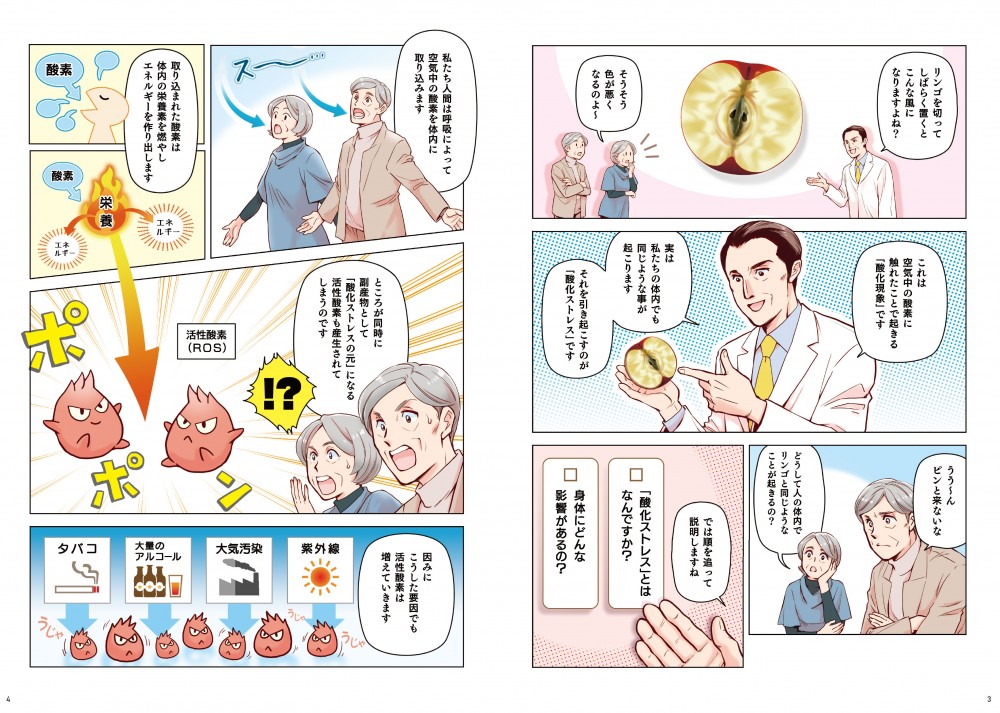 リンゴを切ってしばらく置くとこんな風になりますよね？そうそう色が悪くなるのよ～。これは空気中の酸素に振れたことで起きる「酸化現象」です。実は私たちの体内でも同じようなことが起こります。それを引き起こすのが「酸化ストレス」です。では順を追って説明しますね。私たち人間は呼吸によって空気中の酸素を体内に取り込みます。取り込まれた酸素は体内の栄養素を燃やし、エネルギーを作り出します。ところが同時に副産物として「酸化ストレスの元」になる活性酸素も産生されてしまうのです。