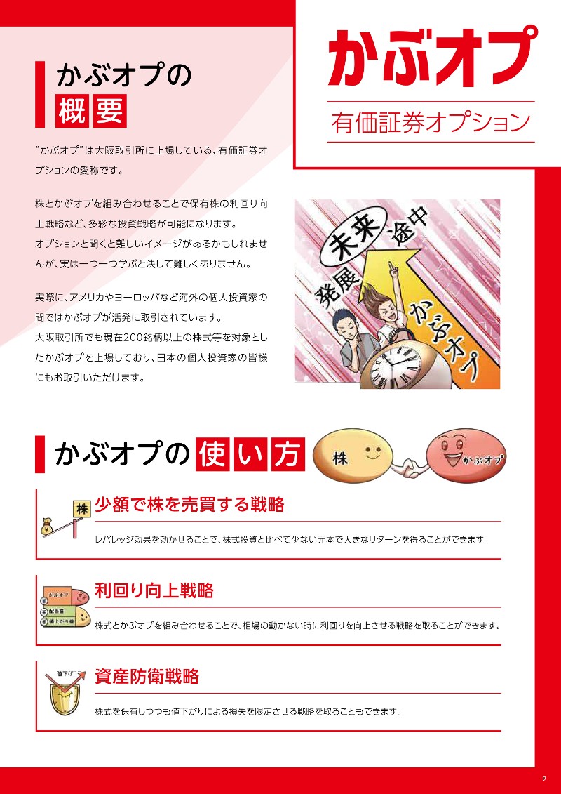 かぶオプの概要について