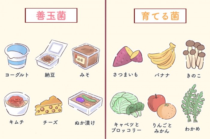 タッチ9