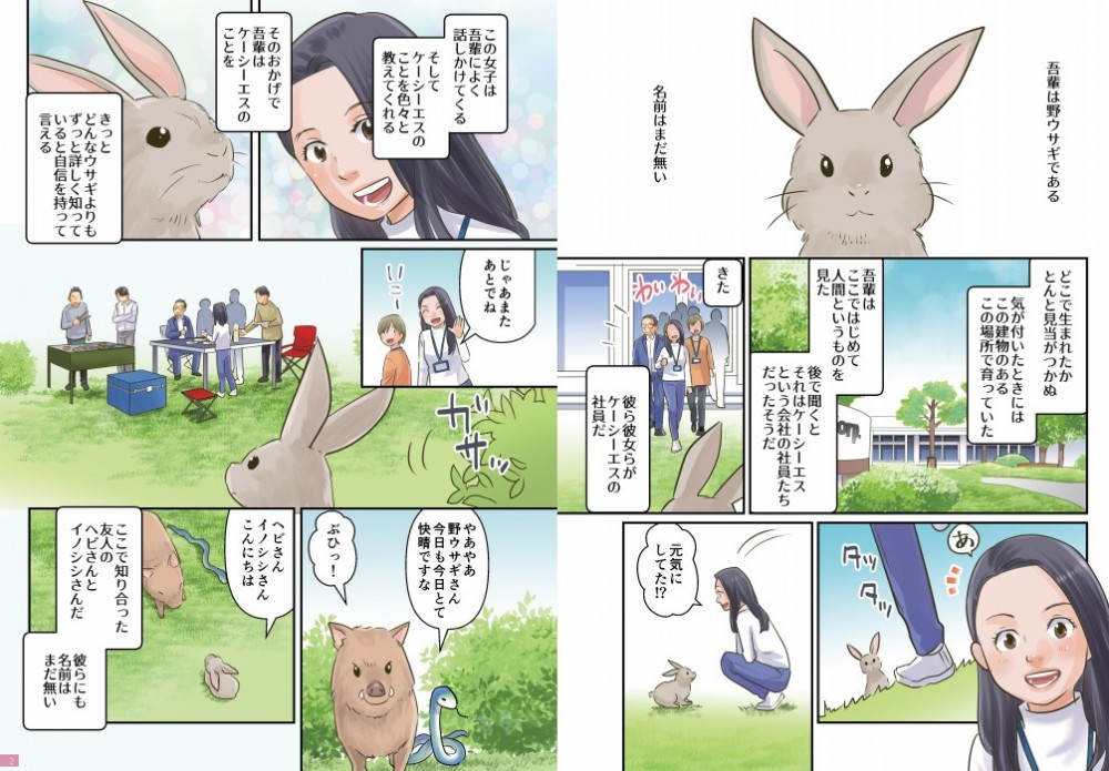 野ウサギ登場