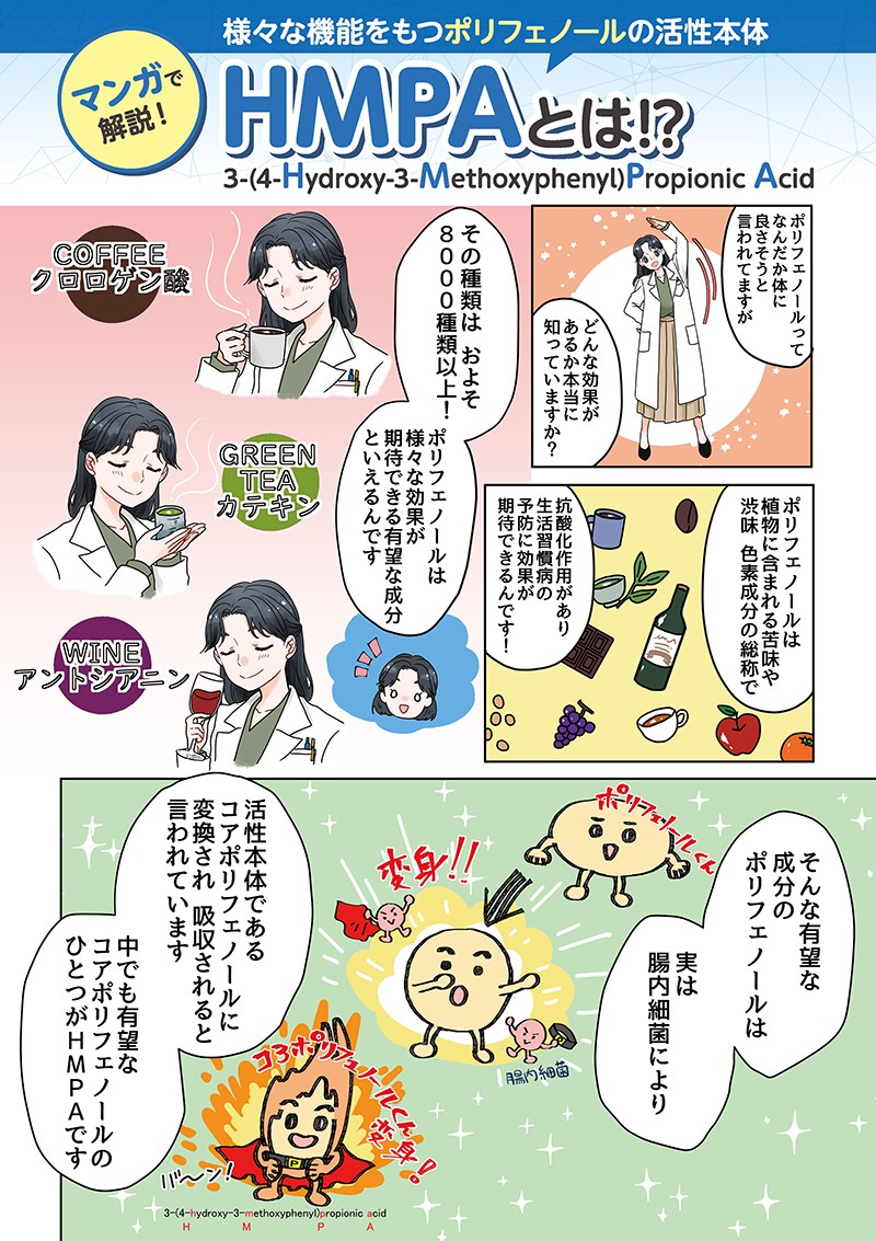 様々な機能をもつポリフェノールの活性本体、HMPAとは⁉マンガで解説！ポリフェノールは植物に含まれる苦みや渋み、色素成分の総称で抗酸化作用があり、生活習慣病の予防に効果が期待できるんです！そんな有望な成分のポリフェノールは実は腸内細菌により、活性本体であるコアポリフェノールに変換され、吸収させると言われています。