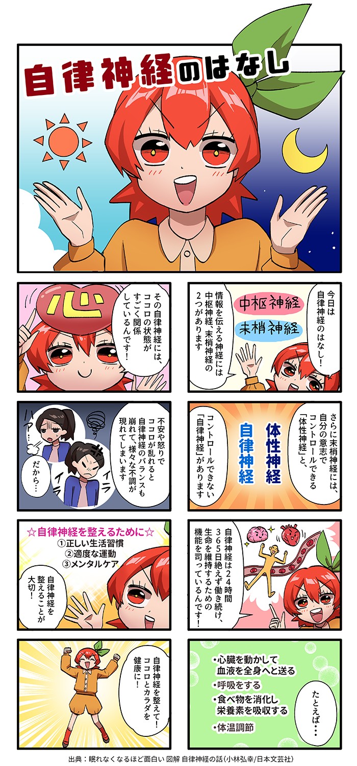 自律神経
高麗紅
高麗人参
