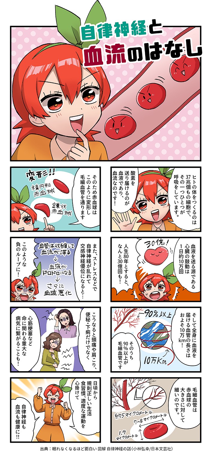 血流
高麗紅
高麗人参
健康
血