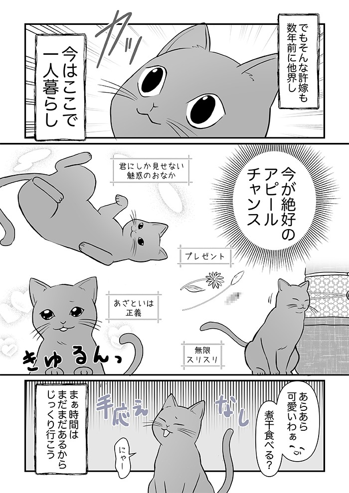 タッチ11