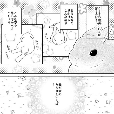タッチ27