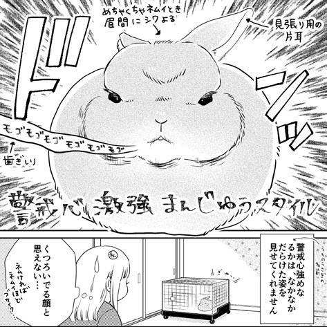 タッチ28