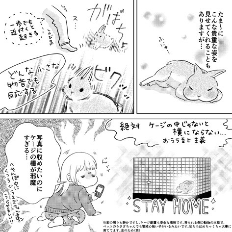 タッチ29