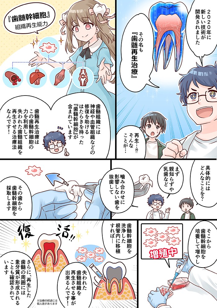2020年にあたらしい技術が開発されました。その名も「歯髄再生治療」。歯髄組織には神経や血管組織などの修復を助ける働きを持った「歯髄幹細胞」が含まれています。歯髄再生治療はこの歯髄幹細胞の力を利用して失われた歯髄組織を再生させる治療法なんです！