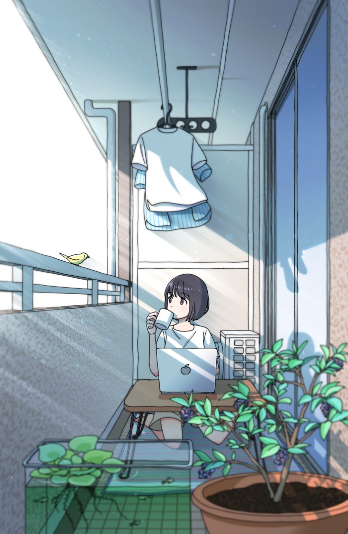 タッチ12