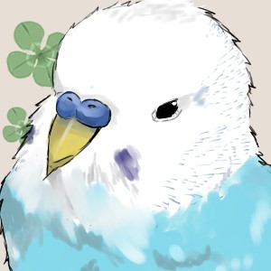 タッチ4