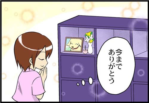 納骨し、飾った写真に手を合わせる。「今までありがとう」