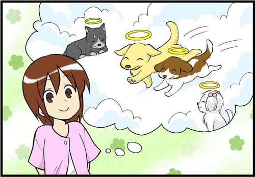 天国で仲間たちと元気に駆け回っているといいな。